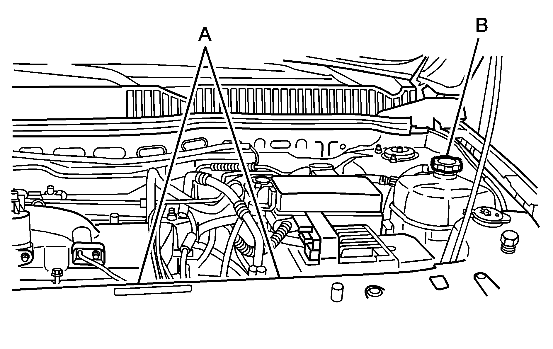 Object Number: 1262391  Size: B3