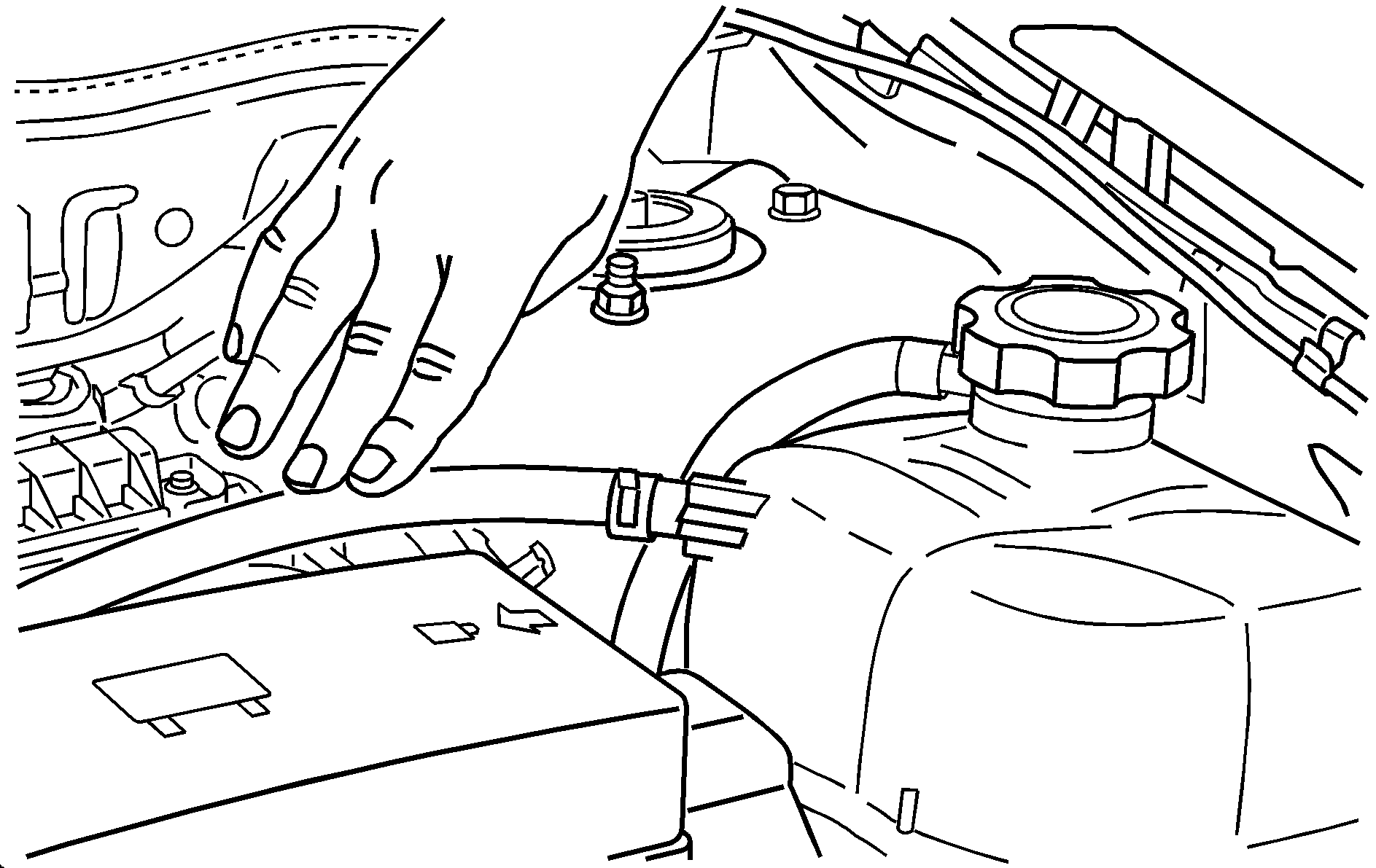 Object Number: 1262392  Size: B3