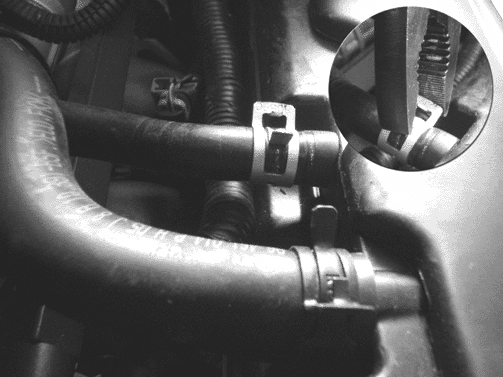 Object Number: 1769935  Size: SH