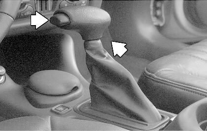 Object Number: 809426  Size: B3