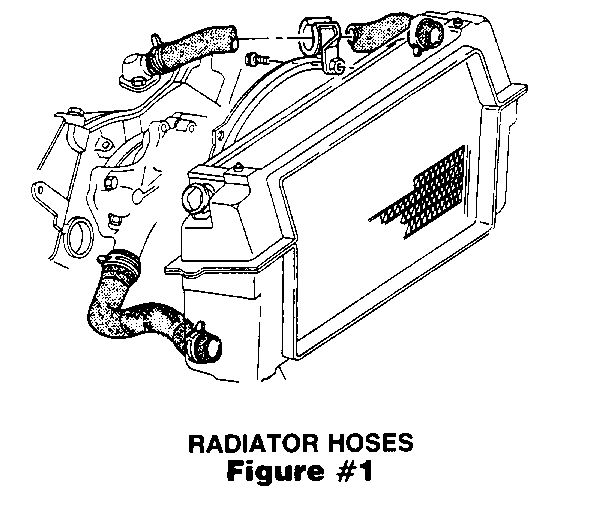 Object Number: 90796  Size: MF